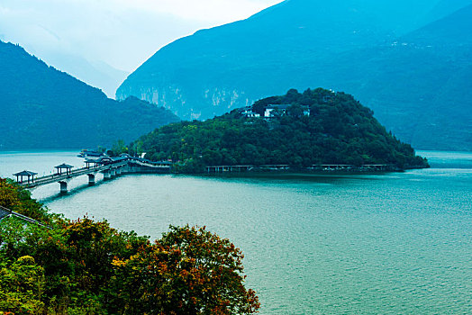 cau lo bach thu khung 5 ngay
