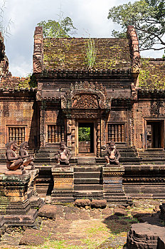 đá gà miền tây nam bộ