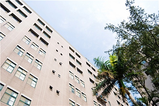 soi cầu lô vip