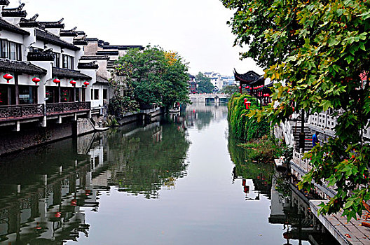 soi cau bach thu binh dinh